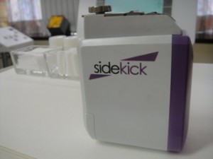 Sidekick Picture 01